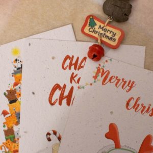 Pack Spécial Noël – 5 cartes ensemencées
