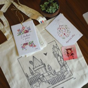 Pack de Noël 2026 🎄🎅